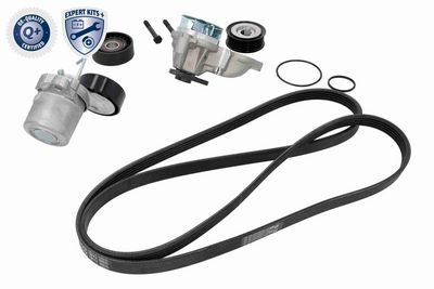 SET CUREA TRANSMISIE CU CANELURI ACKOJA A520514 4