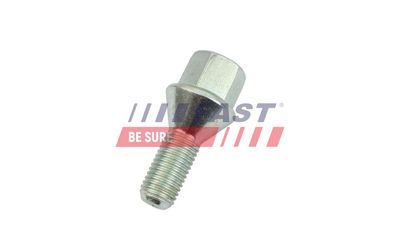 Šroub kola FAST FT10436