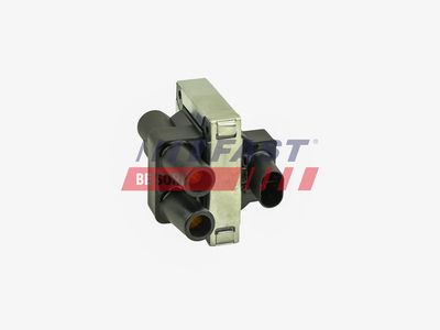 BOBINA DE INDUCTIE FAST FT79011 1