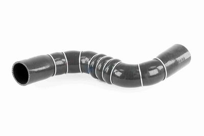 FURTUN EAR SUPRAALIMENTARE ACKOJA A389602 1