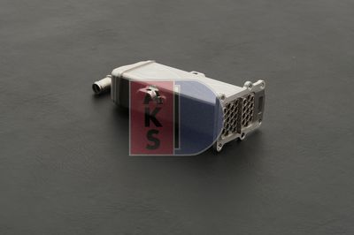 KüHLER ABGASRüCKFüHRUNG AKS DASIS 040073N 8