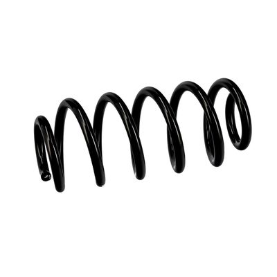 ARC SPIRAL EIBACH R10137 6