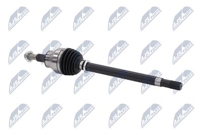 PLANETARA NTY NPWCH154 10