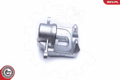 Brake Caliper 45SKV171