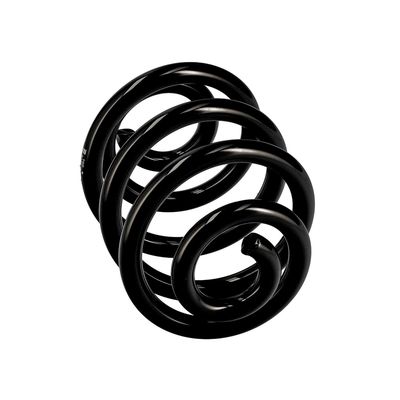 ARC SPIRAL EIBACH R10087 12