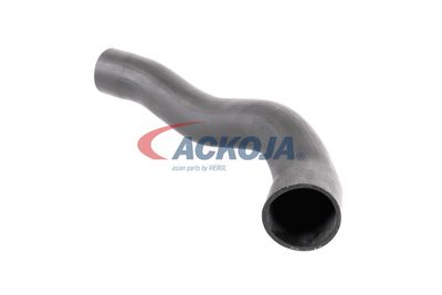 FURTUN EAR SUPRAALIMENTARE ACKOJA A379600 18