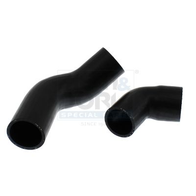 FURTUN EAR SUPRAALIMENTARE