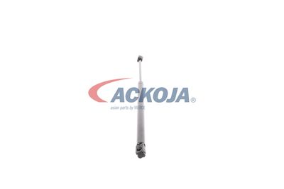 AMORTIZOR PORTBAGAJ ACKOJA A320077 49