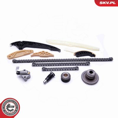 CHIT LANT DE DISTRIBUTIE ESEN SKV 21SKV163 1