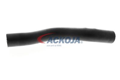 FURTUN RADIATOR ACKOJA A261604 34