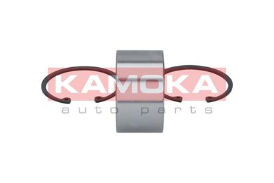 Wheel Bearing Kit 5600022