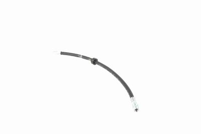 FURTUN FRANA VAICO V460285 2