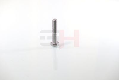 SURUB CAPAT DE AX GH GH392360 39