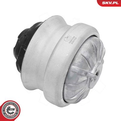 variklio montavimas 75SKV214 ESEN SKV