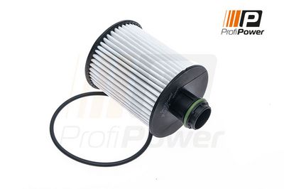 alyvos filtras 1F0055 ProfiPower