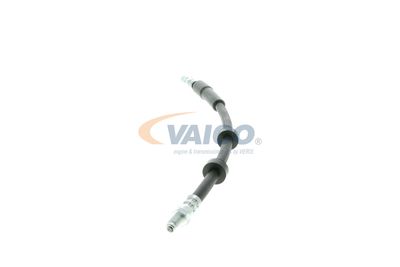 FURTUN FRANA VAICO V959582 14