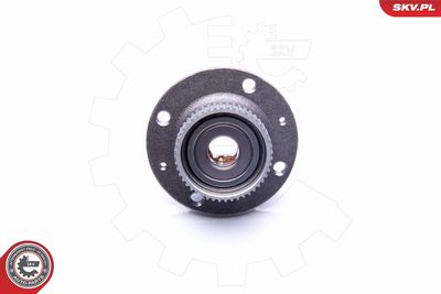 Wheel Bearing Kit 29SKV195