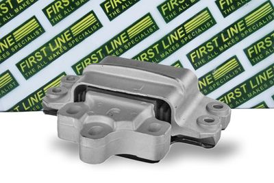 окачване, двигател FIRST LINE FEM4350