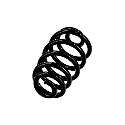 ARC SPIRAL EIBACH R10574 2