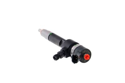 INJECTOR REMANTE 002003001133R 21