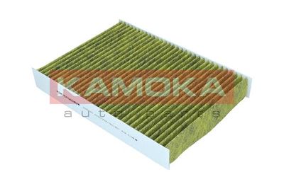 Filter, cabin air 6080165