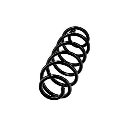 ARC SPIRAL EIBACH R10823 14