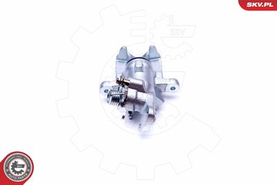 Brake Caliper 23SKV093