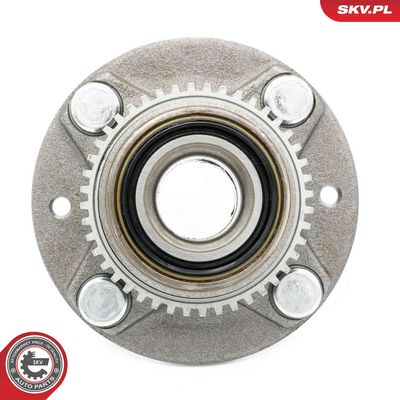 Ložisko kola, sada ESEN SKV 29SKV618