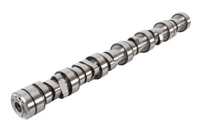 Nokkenas MX-13 265  MX-13 303  MX-13 315  MX-13 340  MX-13 355  MX-13 375  MX-13 390 past: DAF CF, XF 106  VAN HOOL EX, TX  VDL FUTURA MX-13303-MX340 09.10-