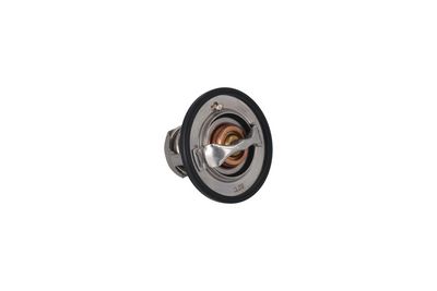 TERMOSTAT LICHID RACIRE KAMOKA 7710139