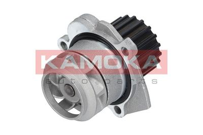 Water Pump, engine cooling T0253