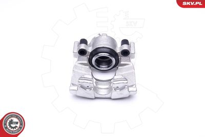 Brake Caliper 46SKV931