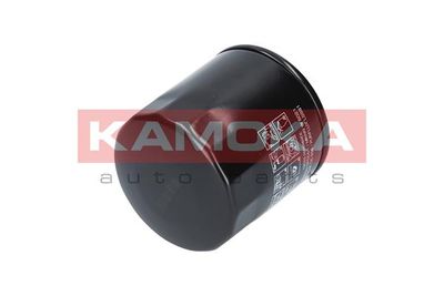 Oil Filter F113201