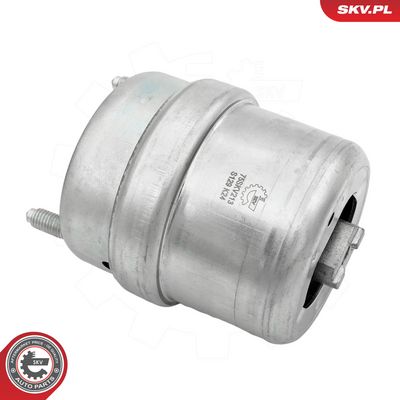 Zavěšení motoru ESEN SKV 75SKV213
