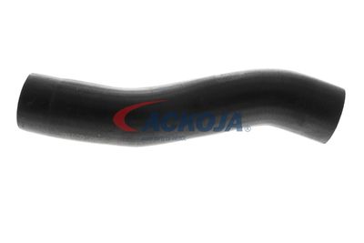 FURTUN EAR SUPRAALIMENTARE ACKOJA A529600 11