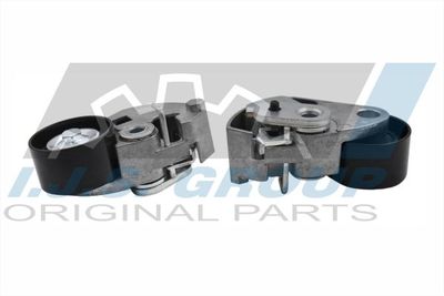 ROLA INTINZATOR CUREA DISTRIBUTIE