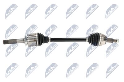 PLANETARA NTY NPWLR058 7