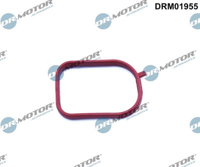 Gasket, thermostat housing DRM01955