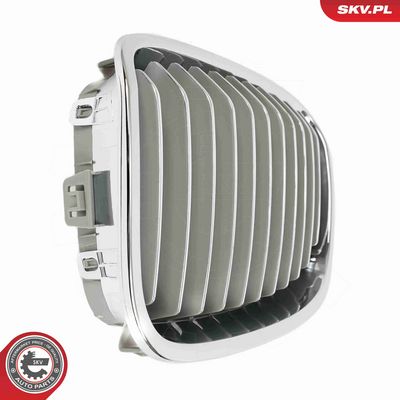 GRILA RADIATOR ESEN SKV 66SKV015 9
