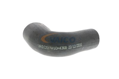 FURTUN EAR SUPRAALIMENTARE VAICO V104368 36