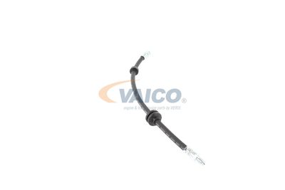 FURTUN FRANA VAICO V240328 36