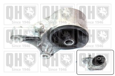 QUINTON HAZELL EM4383 Подвеска, двигатель 