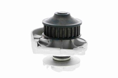 WASSERPUMPE MOTORKüHLUNG VAICO V2450002 8