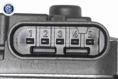 CARCASA CLAPETA ACKOJA A52810018 2