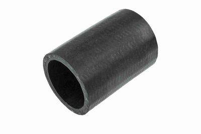 FURTUN EAR SUPRAALIMENTARE