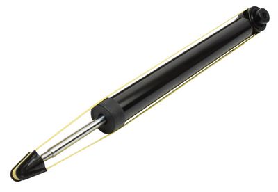Article Picture