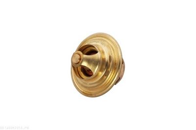 TERMOSTAT LICHID RACIRE