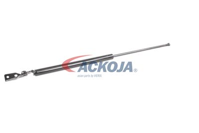 AMORTIZOR PORTBAGAJ ACKOJA A320092 57