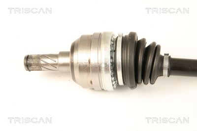 PLANETARA TRISCAN 854024557 1