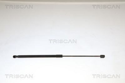 AMORTIZOR PORTBAGAJ TRISCAN 871038221